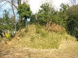 Shiratorizuka Kofun