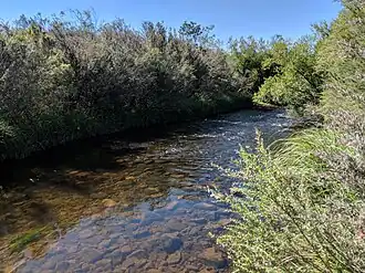 Shoalhaven River below Bombay Bridge
