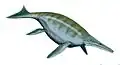 Ichthyosaur