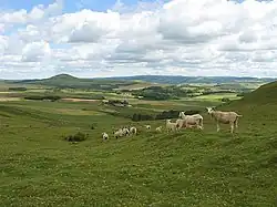 Rolling Lanarkshire countryside near Dunsyre
