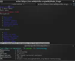 Terminology 1.14.0 on Arch Linux with w3m open displaying the Wikipedia main page, radeontop in the tab to the left, and the package information for terminology below.
