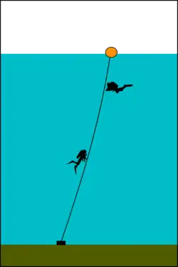 Basic shotline: Weight, and float connected by a line