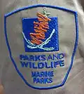 Marine Ranger and Officer shoulder badge for uniform shirt, 2013.