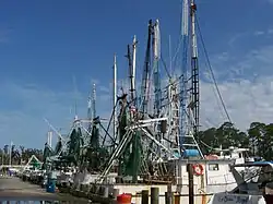Shrimp boats