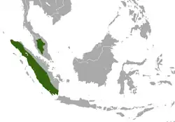 Siamang (Symphalangus syndactylus) range