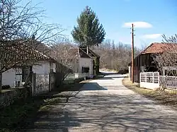 Sibnica street