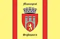 Flag of Sighișoara