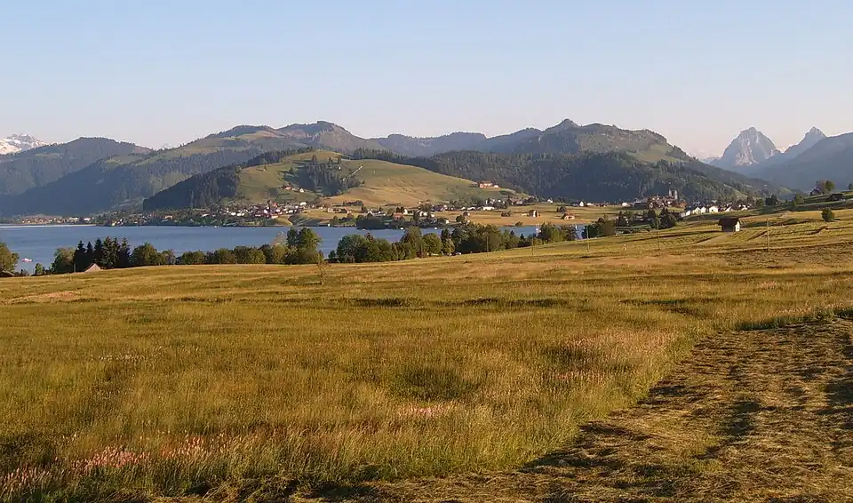 Image 59Northern shore meadows of Sihlsee, an artificial lake near Einsiedeln in the Canton of Schwyz, Switzerland. (Credit: Markus Bernet.) (from Portal:Earth sciences/Selected pictures)