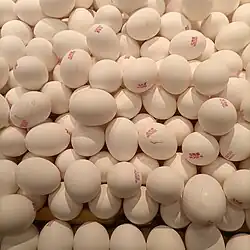 Eggs