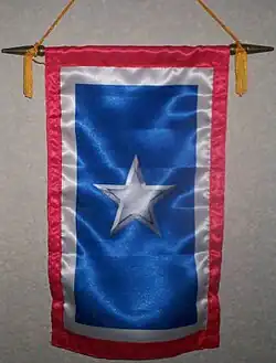 Silver_Star_Banner2.jpg