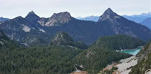 Silver Eagle to left, and Bald Eagle to right