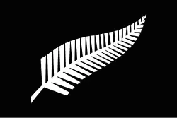 Silver fern flag — black flag charged with a silver fern