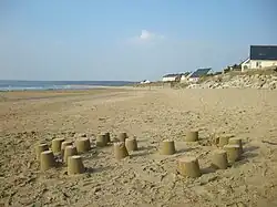 The beach