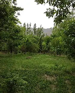 Garden in Sirch