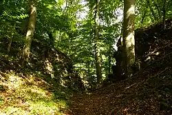 A moderately wooded area, with trees in the fore and background. Two stone earthen walls, on the left and right, fill the mid-ground. A gap separates the two sides due to deterioration.