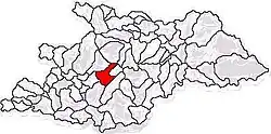 Location in Maramureș County