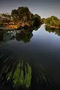 The Sitnica from the Stone Bridge in Vushtrri