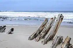 Skeleton Coast