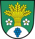 Coat of arms of Skršín