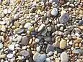 The 'sand' at Slapton Sands consists of small pebbles.