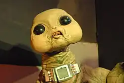 A green, alien creature. It has bulbous black eyes, a small mouth filled with sharp teeth, and a metallic, mechanical band around its neck.