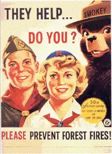 Image 9Smokey Bear with members of the Boy Scouts of America and the Camp Fire Girls celebrating the 50th anniversary of their founding in 1910 (from Scouting in popular culture)
