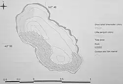 Short-tailed shearwater and little penguin colonies, Smooth Island