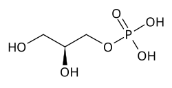 2D representation of the chemical structure of Q19970447.