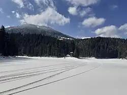 Lake in winter