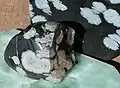 Snowflake obsidian