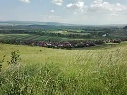 Ormeniș