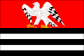 Flag of Sokoleč