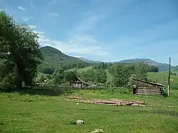 Pastoral green landscape with mountains in the distance.
