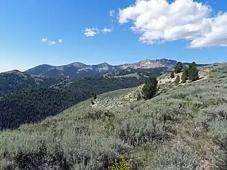 A photo of the Soldier Mountain viewed from the north in summer