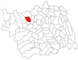 Location in Bacău County