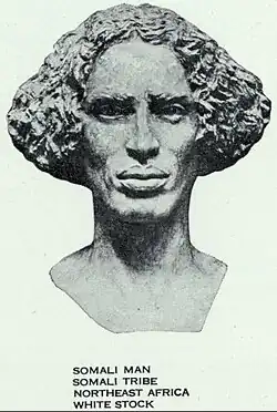 Somali man of "Eastern Hamitic type"