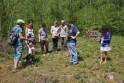 Some persons observe a protected plant