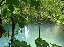 The Source Bleue