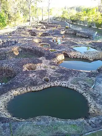 Mystery Craters, 2013