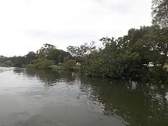 Tweed River, 2017