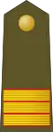 Sargento (Spanish Army)[104]