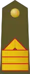 Sargento primero (Spanish Army)[40]