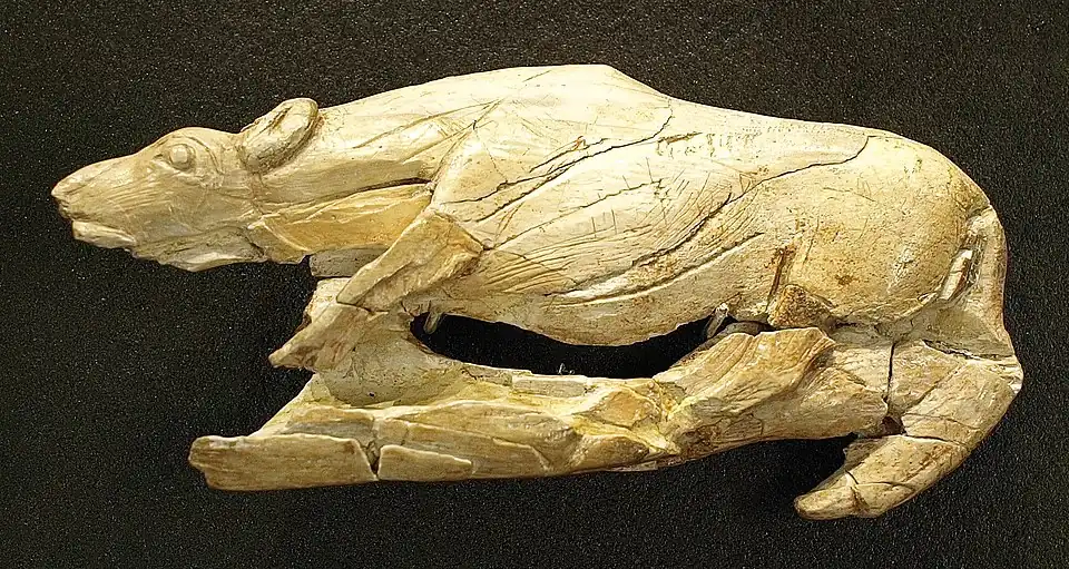 Creeping Hyena, c.&nbsp;12–17,000&nbsp;BP, mammoth ivory, found in La Madeleine, France