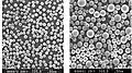 The SiO2 powder spheroidised by induction plasma (air plasma), output 15~20&nbsp;kg/h