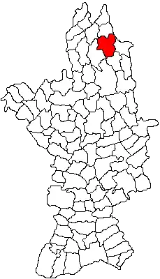 Location in Olt County