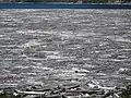 Tree mats on Spirit Lake, 2012