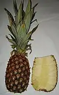 Ananas comosus (pineapple)