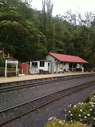 Spring Bluff railway station
