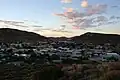 Springbok at dusk