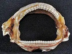Jaws